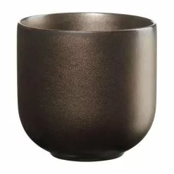 ASA Teeschale 2er Set Coppa Ferro