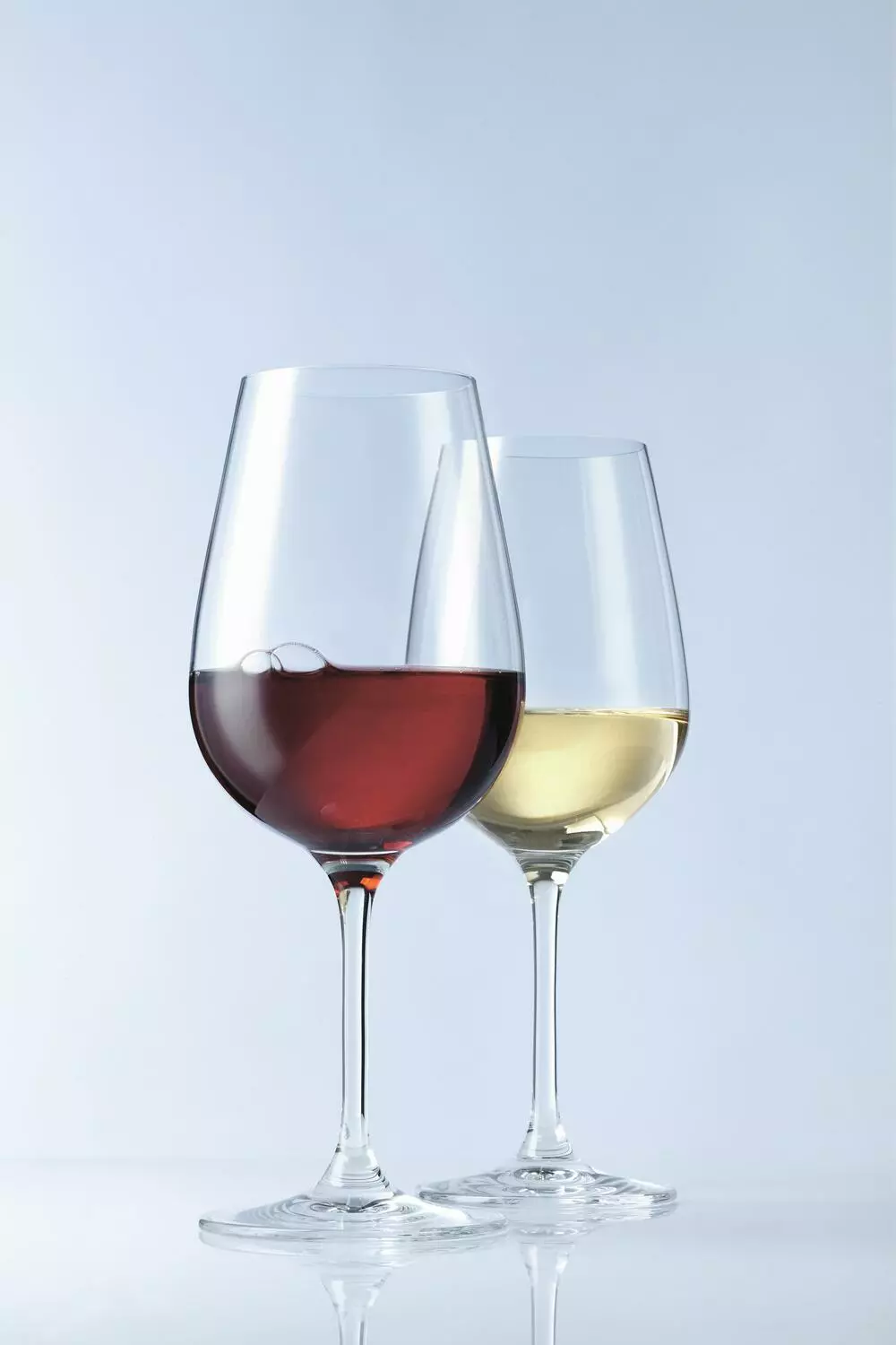 Leonardo Weißweinglas TIVOLI 450 Ml, 6er-Set 3 Leonardo Weißweinglas TIVOLI 450 Ml, 6er-Set – Bild 3