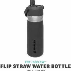 Stanley Becher, 0,65l, Grau -Kaffee Espresso Verkäufe 222 674501 web2